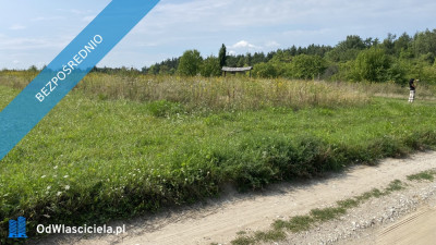 Piękna Działka na Wsi Okale k Kazimierz Dolnego - Okale  -
lubelskie Zdjęcie nr 8