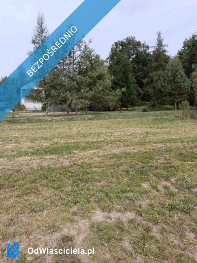 Sprzedam działkę budowlaną w Wierciszowie - Wierciszów  -
lubelskie Zdjęcie nr 5