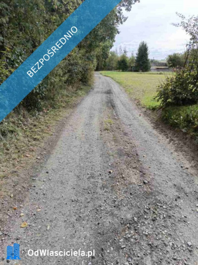 Sprzedam działkę budowlaną w Wierciszowie - Wierciszów  -
lubelskie Zdjęcie nr 7