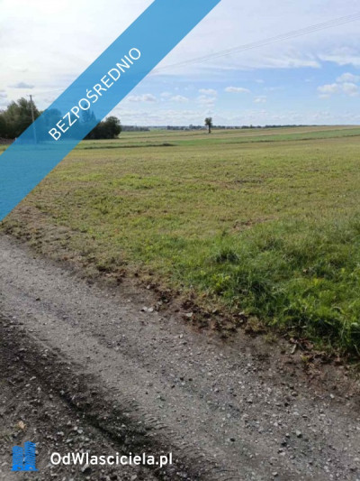 Sprzedam działkę budowlaną w Wierciszowie - Wierciszów  -
lubelskie Zdjęcie nr 8