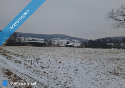 Piękne działki 30 arów w gorach - Gorzanów  -
dolnośląskie Zdjęcie nr 3