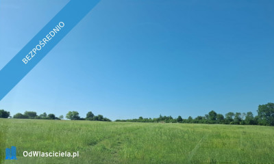 Piękne działki 30 arów w gorach - Gorzanów  -
dolnośląskie Zdjęcie nr 7