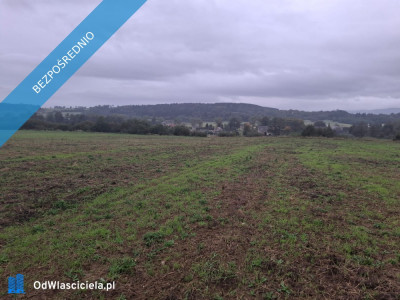 Piękne działki 30 arów w gorach - Gorzanów  -
dolnośląskie Zdjęcie nr 8