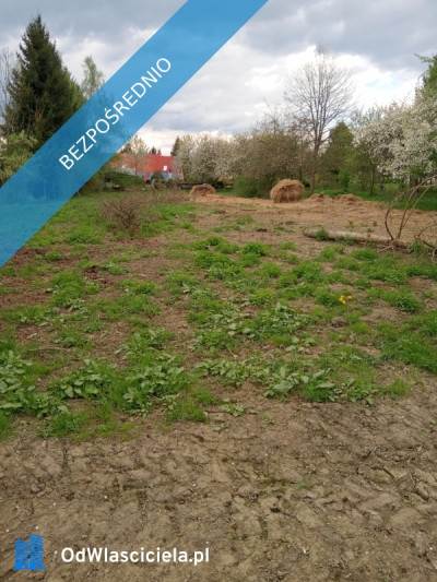 Na sprzedaż działka rolna Wilkanów - Wilkanów  - dolnośląskie