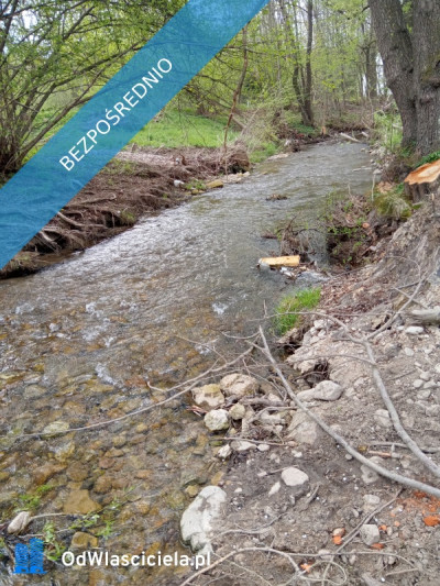 Na sprzedaż działka rolna Wilkanów - Wilkanów  -
dolnośląskie Zdjęcie nr 2