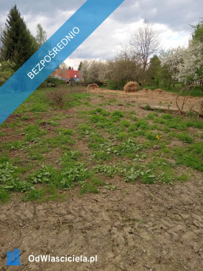 Na sprzedaż działka rolna Wilkanów - Wilkanów  -
dolnośląskie Zdjęcie nr 3