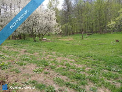 Na sprzedaż działka rolna Wilkanów - Wilkanów  -
dolnośląskie Zdjęcie nr 5