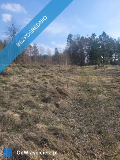 Duża  Działka budowlana z małym własnym parkiem - Polanów  -
zachodniopomorskie Zdjęcie nr 3