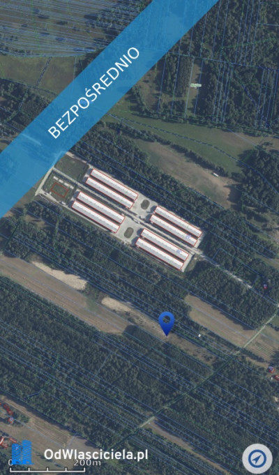 Dwie działki rolne nr 205 i 206 303 ha przy drodze Łączka gm Kotuń - Łączka  -
mazowieckie Zdjęcie nr 4