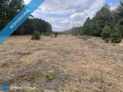 Dwie działki rolne nr 205 i 206 303 ha przy drodze Łączka gm Kotuń - Łączka  -
mazowieckie Zdjęcie nr 5