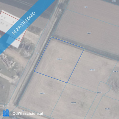 Działki budowlane 20 minut od Gdańska Szybki dojazd S7 od 1222 m - Nowa Kościelnica  -
pomorskie Zdjęcie nr 15