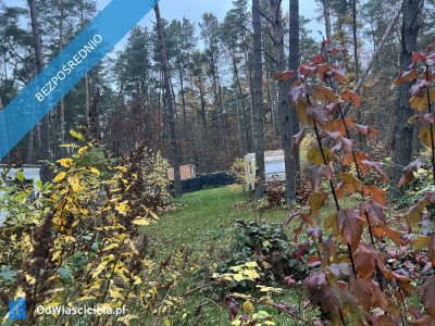 Działka leśna ZL ogrodzona nad jeziorem - Borkowo  -
pomorskie Zdjęcie nr 2