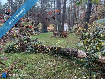 Działka leśna ZL ogrodzona nad jeziorem - Borkowo  -
pomorskie Zdjęcie nr 4