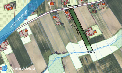 Piękna działka rolna w miejscowości Momina - Momina  -
świętokrzyskie Zdjęcie nr 2