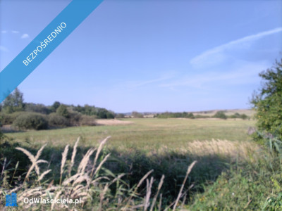 Działka Inwestycyjna nad Zalewem Radzanów  Doskonała pod Hotel Dom Weselny lub Inwestycje Usługowe - Radzanów  -
świętokrzyskie Zdjęcie nr 4