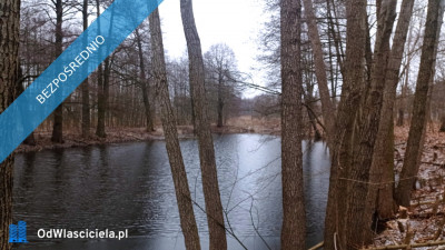 Inspirujący teren w Łodzi 5Ha świetnie skomunikowany - Polesie  -
łódzkie Zdjęcie nr 3