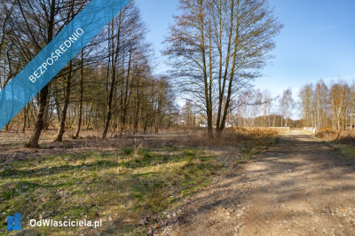 Działka pod lasem z wydanymi warunkami tylko 120 złm2 - Szczecin  -
zachodniopomorskie Zdjęcie nr 7