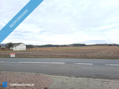 Działka pod zabudowę jednorodzinną bliźniaczą lub siedliskowo-zagrodową - Żebraczka  -
mazowieckie Zdjęcie nr 4