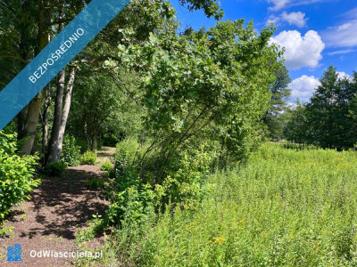 Działka pod zabudowę jednorodzinną 5057 m Mariew - Mariew  -
mazowieckie Zdjęcie nr 9