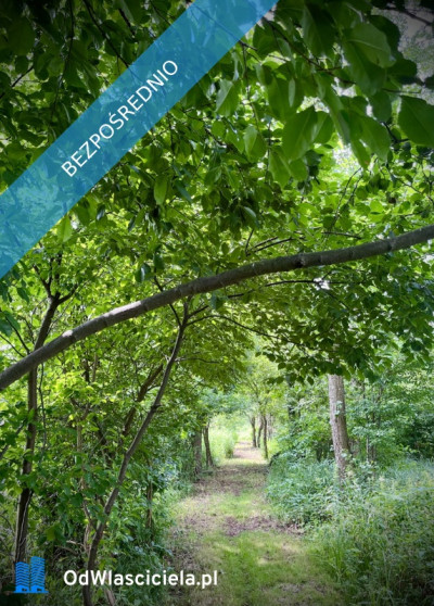 Działka pod zabudowę jednorodzinną 5057 m Mariew - Mariew  -
mazowieckie Zdjęcie nr 10