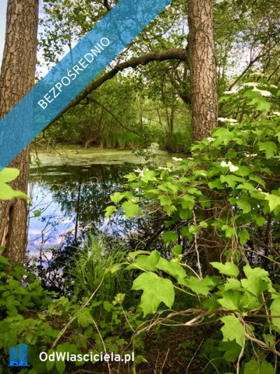 Działka pod zabudowę jednorodzinną 5057 m Mariew - Mariew  -
mazowieckie Zdjęcie nr 11