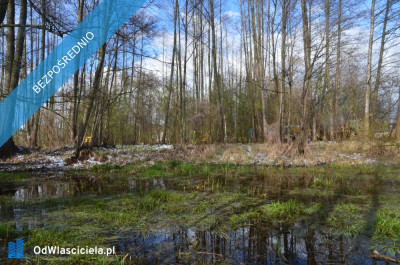 Działka pod zabudowę jednorodzinną 5057 m Mariew - Mariew  -
mazowieckie Zdjęcie nr 13