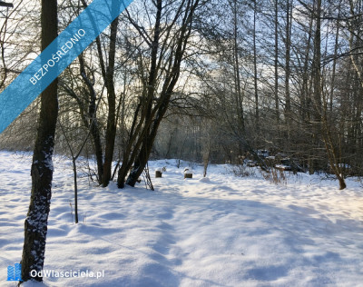 Działka pod zabudowę jednorodzinną 5057 m Mariew - Mariew  -
mazowieckie Zdjęcie nr 7