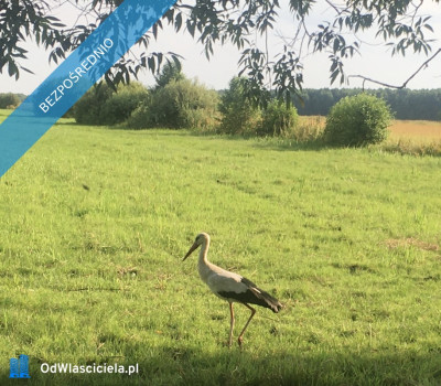 Działka pod zabudowę jednorodzinną 5057 m Mariew Blisko Puszczy Kampinoskiej  Na sprzedaż wyjątkowa zielona działka o powierzchni 5057 m położona w miejscowości Mariew ul Kwiatowa zaledwie ok 100 m od drogi asfaltowej Nieruchomość przeznaczona  - Mariew  -
mazowieckie Zdjęcie nr 4