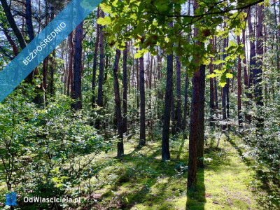 Działka pod zabudowę jednorodzinną 5057 m Mariew Blisko Puszczy Kampinoskiej  Na sprzedaż wyjątkowa zielona działka o powierzchni 5057 m położona w miejscowości Mariew ul Kwiatowa zaledwie ok 100 m od drogi asfaltowej Nieruchomość przeznaczona  - Mariew  -
mazowieckie Zdjęcie nr 7