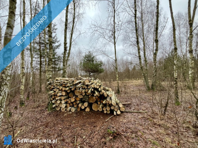 Duża działka rolno-budowlana  28823 ha Mariew - Mariew  -
mazowieckie Zdjęcie nr 9