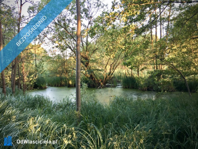 Duża działka rolno-budowlana  28823 ha Mariew - Mariew  -
mazowieckie Zdjęcie nr 5