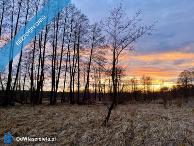 Duża działka rolno-budowlana  28823 ha Mariew - Mariew  -
mazowieckie Zdjęcie nr 8