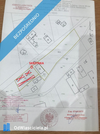 Działka siedliskowa 4200m2 we wsi Niedźwiednik 57-224 w rejonie Ziębic - Niedźwiednik  -
dolnośląskie Zdjęcie nr 2