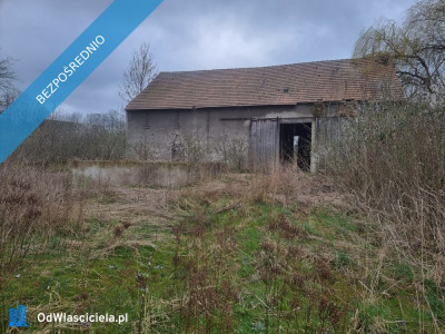 Działka siedliskowa 4200m2 we wsi Niedźwiednik 57-224 w rejonie Ziębic - Niedźwiednik  -
dolnośląskie Zdjęcie nr 3