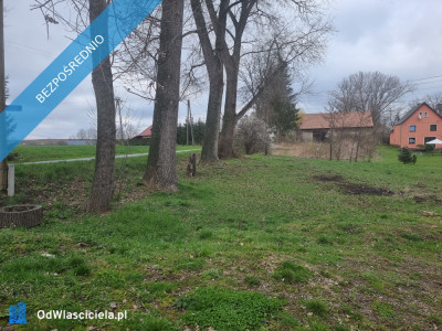 Działka siedliskowa 4200m2 we wsi Niedźwiednik 57-224 w rejonie Ziębic - Niedźwiednik  -
dolnośląskie Zdjęcie nr 4