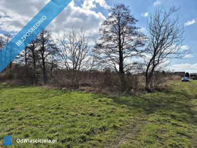 POZNAŃ - Działka budowlana z DWZ pod zespół domów jednorodzinnych - Fabianowo-Kotowo  -
wielkopolskie Zdjęcie nr 3