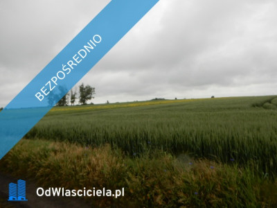 Syndyk sprzeda udział 18 Oborzany działki nr 240 nr 459 nr 505 - cena 60 wartości oszacowania  - Oborzany  -
zachodniopomorskie Zdjęcie nr 4