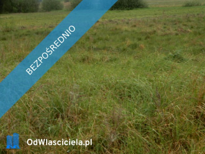 Syndyk sprzeda udział 18 Oborzany działki nr 240 nr 459 nr 505 - cena 60 wartości oszacowania  - Oborzany  -
zachodniopomorskie Zdjęcie nr 6