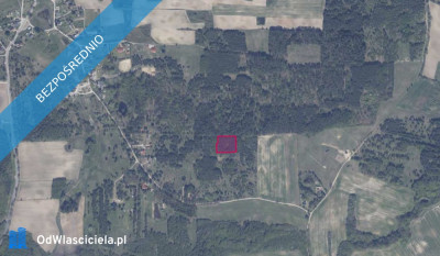 Działka 8613 w Granicznej Wsi wraz z dostępem do drogi - Graniczna Wieś  -
pomorskie Zdjęcie nr 2