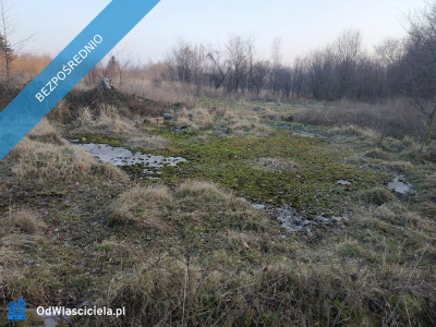 Nieruchomość na sprzedaż - Kamiennik  -
opolskie Zdjęcie nr 11