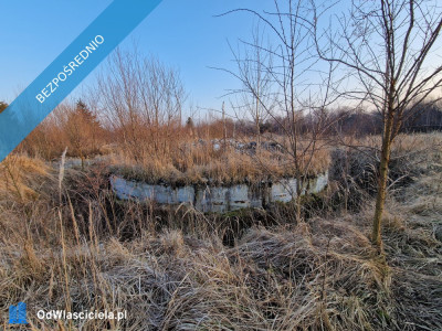 Nieruchomość na sprzedaż - Kamiennik  -
opolskie Zdjęcie nr 8