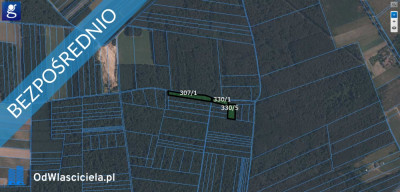 Las działka leśna 075ha sosna 80 lat Terlików - Terlików  -
mazowieckie Zdjęcie nr 3