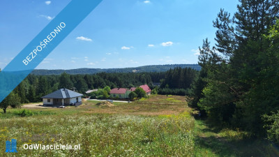 Atrakcyjna działka 1000m Roztocze - Trzepieciny  Krasnobród - Trzepieciny  - lubelskie