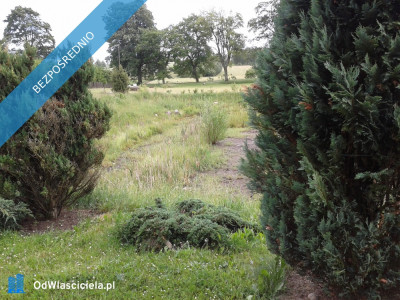 KASZUBY DZIAŁKA UZBROJONA WARUNKI ZABUDOWY - Skrzydłowo  -
pomorskie Zdjęcie nr 6