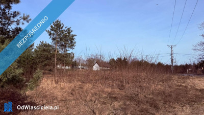 Działka budowlana Rosocha-Kolonia - Rosocha-Kolonia  -
wielkopolskie Zdjęcie nr 7