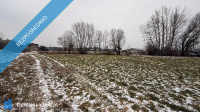 Siedlisko  166 ha z Lasem i Działką Budowlaną  W MILEJEWIE GM OSTROWITE - Milejewo  -
wielkopolskie Zdjęcie nr 8