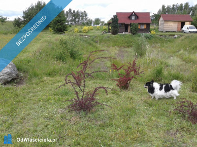 KASZUBY DZIAŁKA UZBROJONA WARUNKI ZABUDOWY - Skrzydłowo  -
pomorskie Zdjęcie nr 7