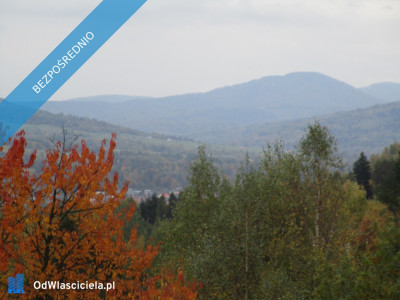 syndyk sprzeda udziały w działkach w Ciścu  - Cisiec  - śląskie