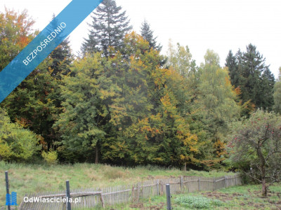 syndyk sprzeda udziały w działkach w Ciścu  - Cisiec  -
śląskie Zdjęcie nr 2