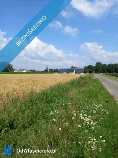 Sprzedam działkę rolno-budowlaną  - Galomin  - mazowieckie